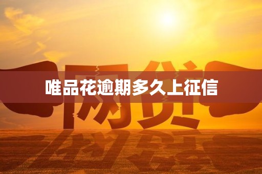 唯品花逾期多久上征信 唯品花逾期多久上征信