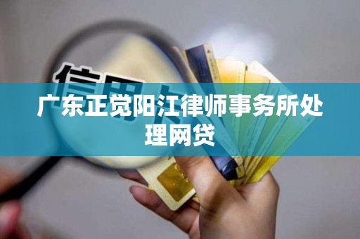 广东正觉阳江律师事务所处理网贷