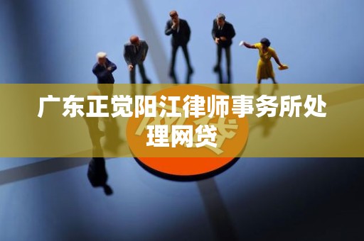 广东正觉阳江律师事务所处理网贷