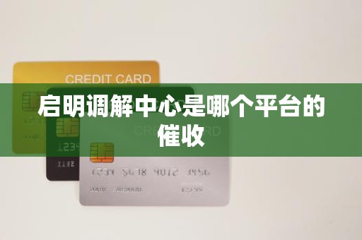 启明调解中心是哪个平台的催收