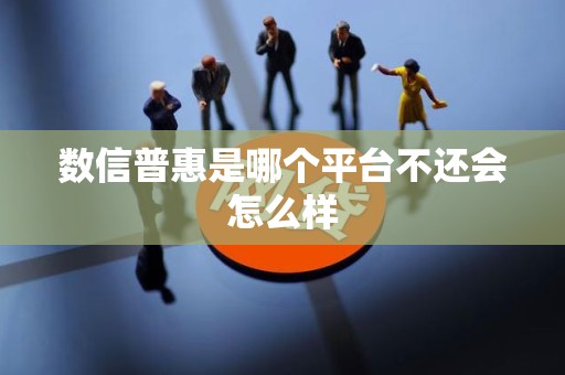 数信普惠是哪个平台不还会怎么样