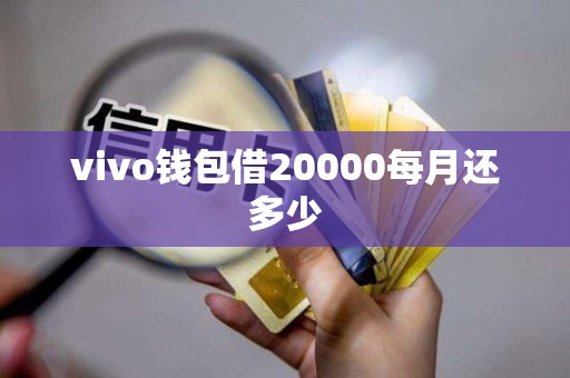vivo钱包借20000每月还多少