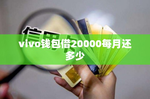 vivo钱包借20000每月还多少