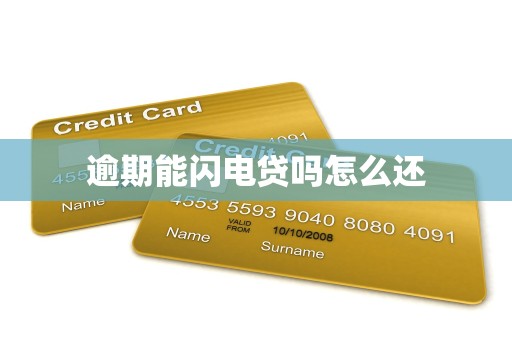 逾期能闪电贷吗怎么还