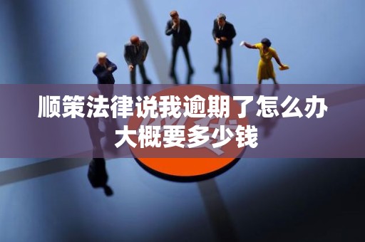 顺策法律说我逾期了怎么办 大概要多少钱 顺策法律说我逾期了怎么办 大概要多少钱