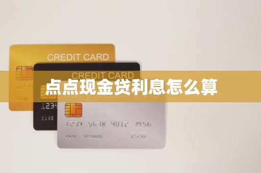 点点现金贷利息怎么算 点点现金贷利息怎么算