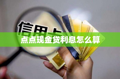 点点现金贷利息怎么算 点点现金贷利息怎么算