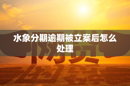 水象分期逾期被立案后怎么处理