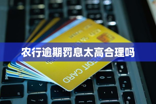 农行逾期罚息太高合理吗