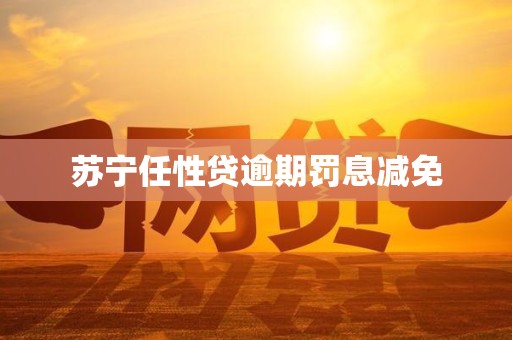 苏宁任性贷逾期罚息减免