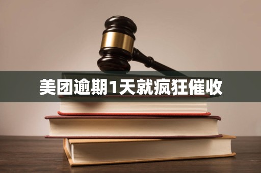 美团逾期1天就疯狂催收 美团逾期1天就疯狂催收