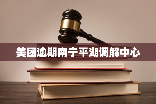 美团逾期南宁平湖调解中心
