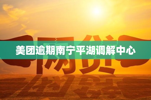 美团逾期南宁平湖调解中心