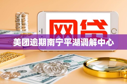 美团逾期南宁平湖调解中心