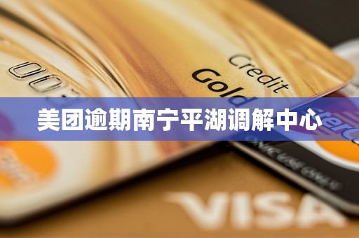 美团逾期南宁平湖调解中心