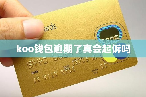 koo钱包逾期了真会起诉吗