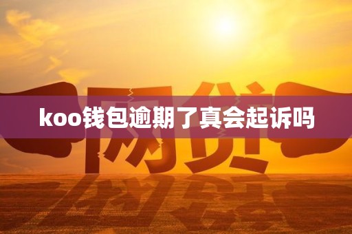 koo钱包逾期了真会起诉吗