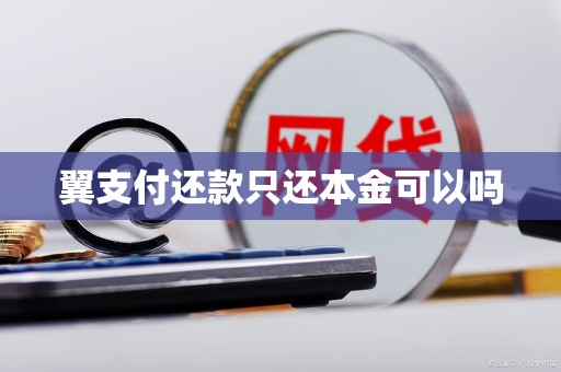 翼支付还款只还本金可以吗
