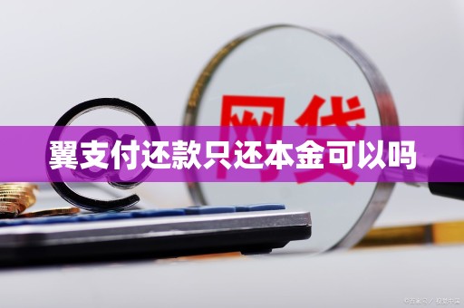 翼支付还款只还本金可以吗 翼支付还款只还本金可以吗