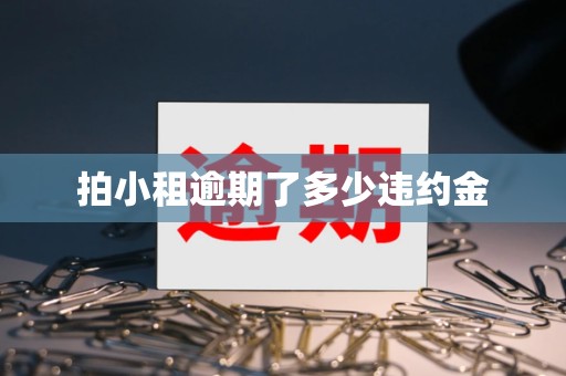 拍小租逾期了多少违约金 拍小租逾期了多少违约金