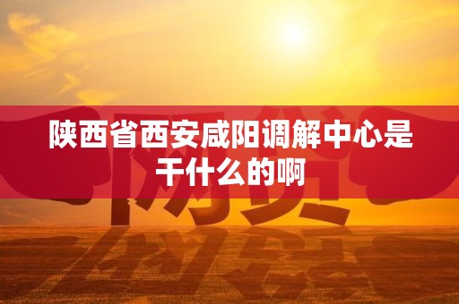 陕西省西安咸阳调解中心是干什么的啊