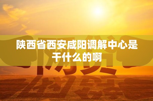 陕西省西安咸阳调解中心是干什么的啊