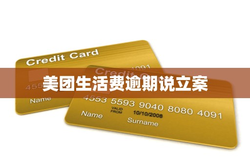 美团生活费逾期说立案 美团生活费逾期说立案