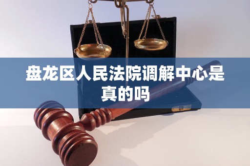 盘龙区人民法院调解中心是真的吗