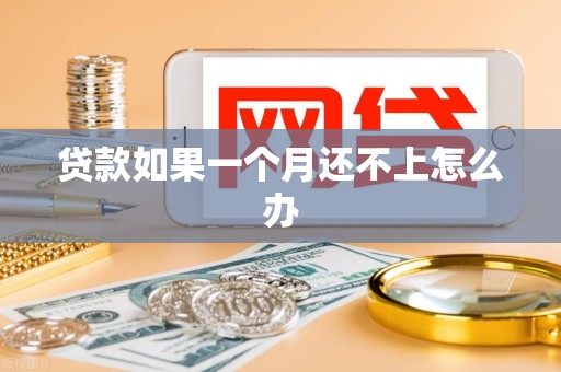 贷款如果一个月还不上怎么办
