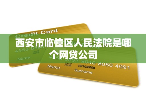 西安市临憧区人民法院是哪个网贷公司