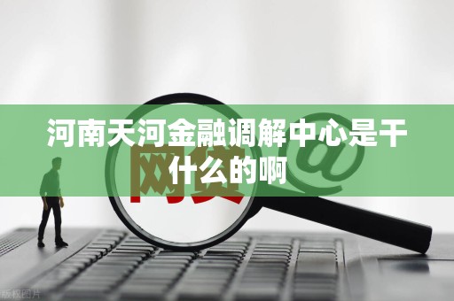 河南天河金融调解中心是干什么的啊