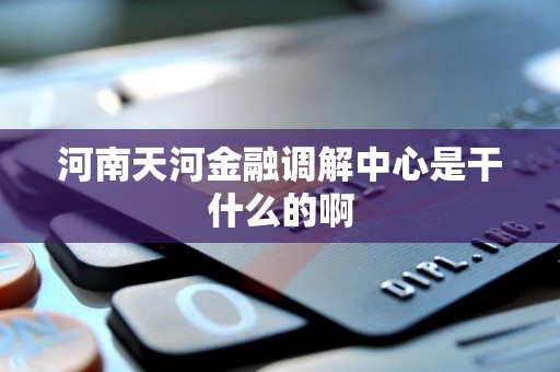 河南天河金融调解中心是干什么的啊