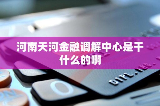 河南天河金融调解中心是干什么的啊