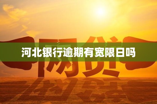 河北银行逾期有宽限日吗