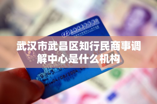 武汉市武昌区知行民商事调解中心是什么机构 武汉市武昌区知行民商事调解中心是什么机构