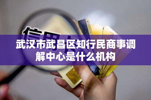 武汉市武昌区知行民商事调解中心是什么机构 武汉市武昌区知行民商事调解中心是什么机构