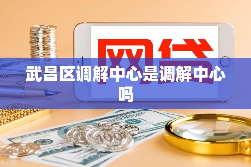 武昌区调解中心是调解中心吗