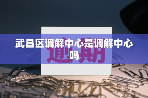 武昌区调解中心是调解中心吗