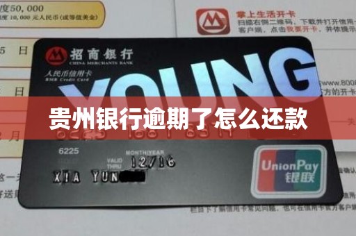 贵州银行逾期了怎么还款