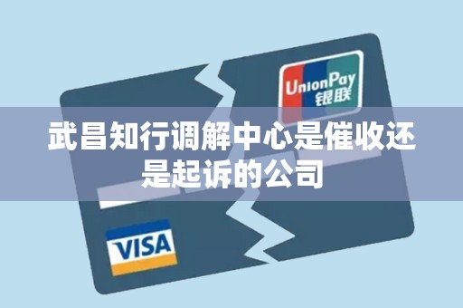 武昌知行调解中心是催收还是起诉的公司