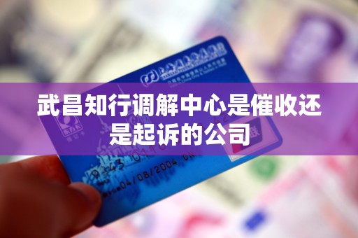 武昌知行调解中心是催收还是起诉的公司