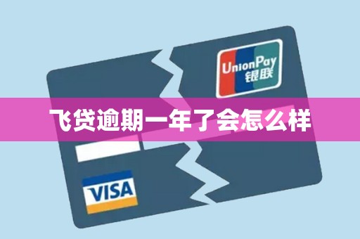 飞贷逾期一年了会怎么样 飞贷逾期一年了会怎么样