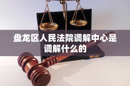 盘龙区人民法院调解中心是调解什么的