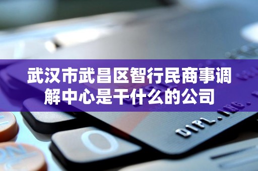 武汉市武昌区智行民商事调解中心是干什么的公司 武汉市武昌区智行民商事调解中心是干什么的公司