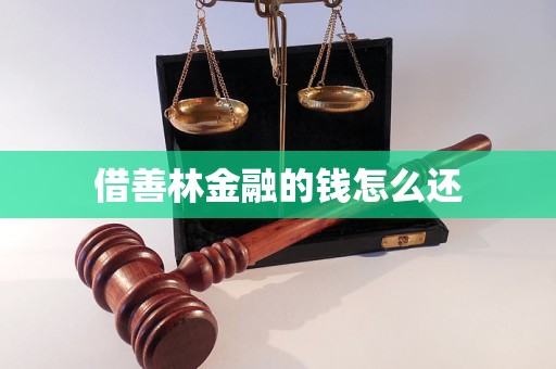 借善林金融的钱怎么还 借善林金融的钱怎么还