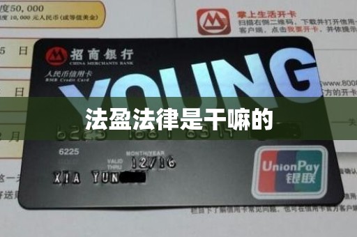 法盈法律是干嘛的