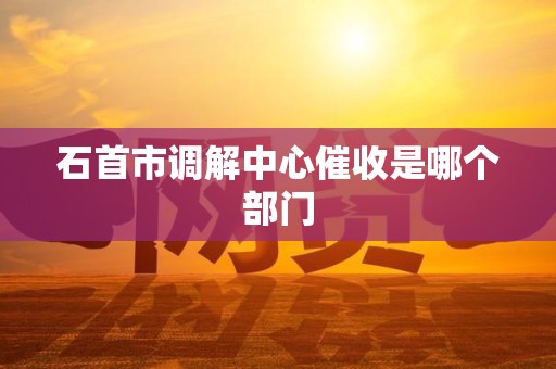 石首市调解中心催收是哪个部门 石首市调解中心催收是哪个部门