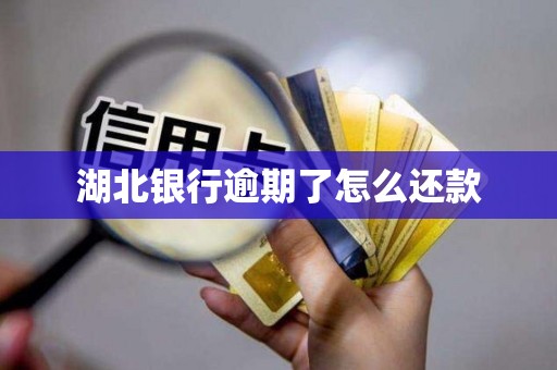 湖北银行逾期了怎么还款