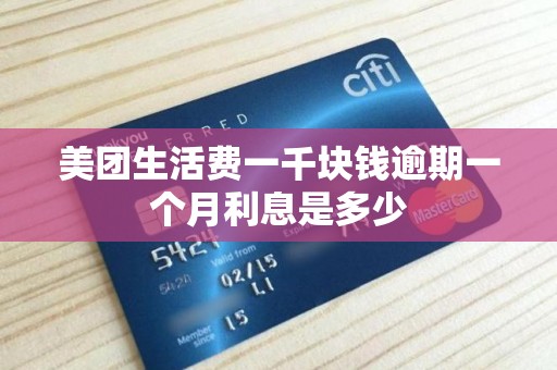 美团生活费一千块钱逾期一个月利息是多少 美团生活费一千块钱逾期一个月利息是多少