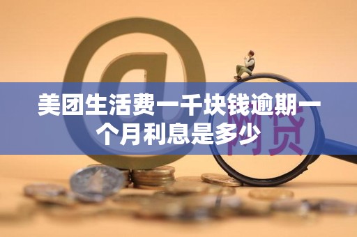 美团生活费一千块钱逾期一个月利息是多少 美团生活费一千块钱逾期一个月利息是多少